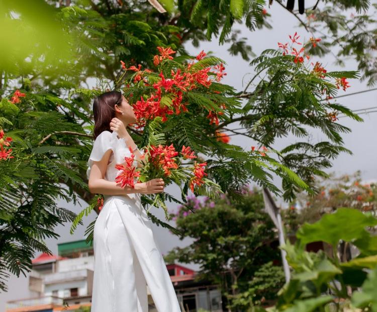 CHỊ EM ÁO DÀI HOA PHƯỢNG